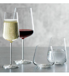 Schott Zwiesel: Vervino Lot de 4 verres à eau/jus 40 cl